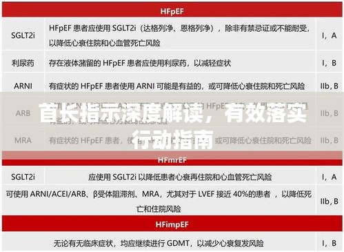 首長指示深度解讀，有效落實(shí)行動指南