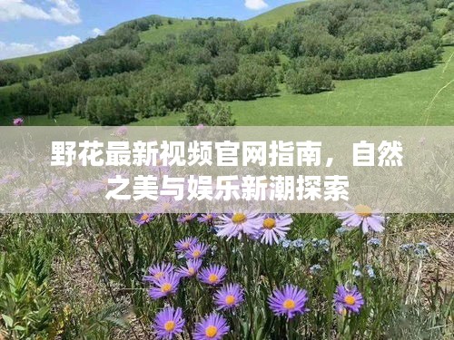 野花最新視頻官網(wǎng)指南，自然之美與娛樂(lè)新潮探索