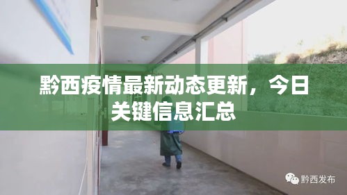 黔西疫情最新動態更新，今日關鍵信息匯總