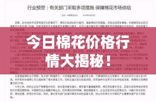 今日棉花價(jià)格行情大揭秘！
