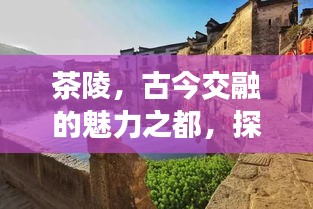 茶陵，古今交融的魅力之都，探尋獨(dú)特韻味