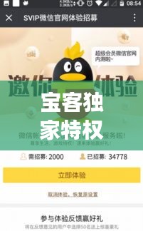 寶客獨家特權(quán)，尊享特惠，開啟貴賓尊享體驗之旅