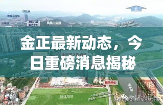 金正最新動態，今日重磅消息揭秘！