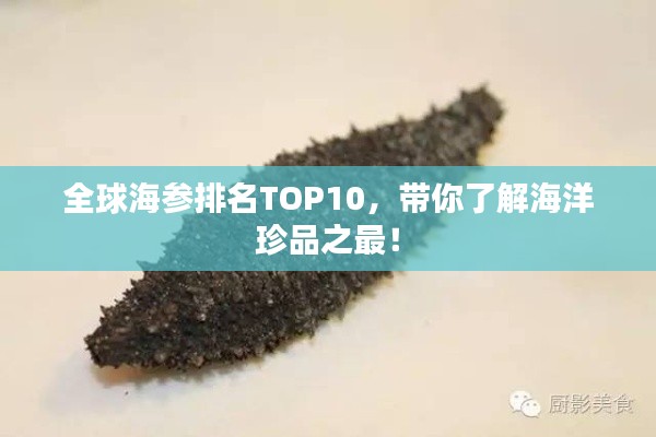 全球海參排名TOP10，帶你了解海洋珍品之最！