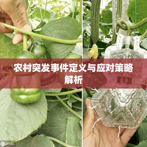農(nóng)村突發(fā)事件定義與應(yīng)對(duì)策略解析
