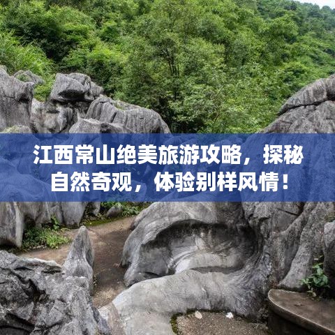 展翅欲飛 第2頁