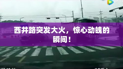 嘴是兩張皮 第2頁