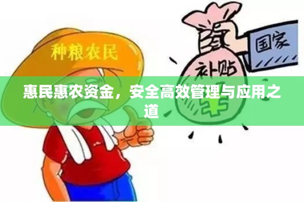 惠民惠農(nóng)資金，安全高效管理與應(yīng)用之道