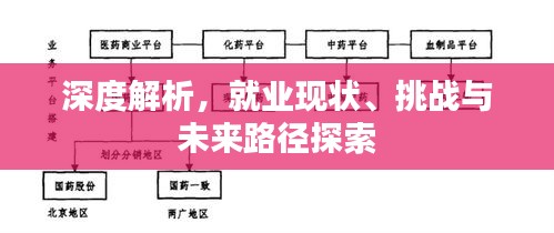 深度解析，就業(yè)現(xiàn)狀、挑戰(zhàn)與未來路徑探索