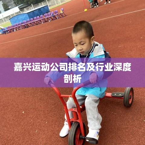 嘉興運(yùn)動(dòng)公司排名及行業(yè)深度剖析