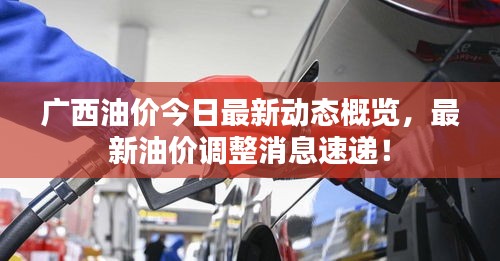 廣西油價今日最新動態概覽，最新油價調整消息速遞！