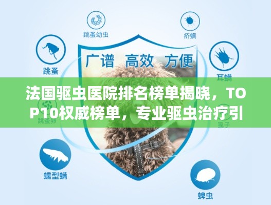 法國驅蟲醫院排名榜單揭曉，TOP10權威榜單，專業驅蟲治療引領健康新生活！