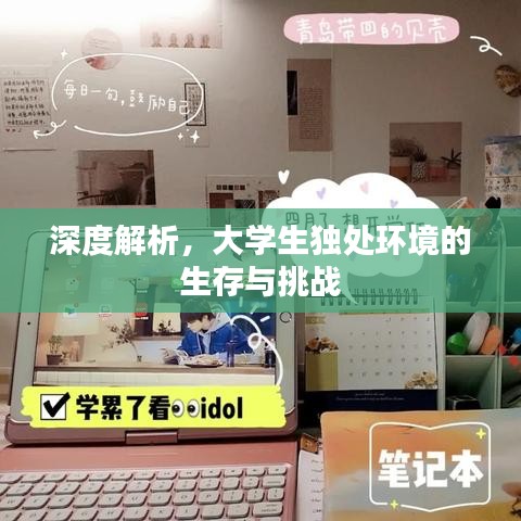 深度解析，大學(xué)生獨(dú)處環(huán)境的生存與挑戰(zhàn)