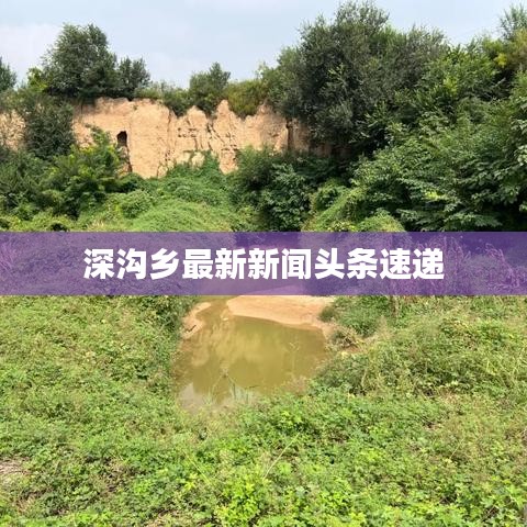 深溝鄉最新新聞頭條速遞