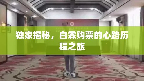 獨家揭秘，白霖購票的心路歷程之旅