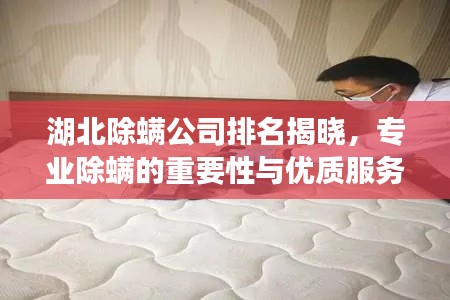 湖北除螨公司排名揭曉，專業除螨的重要性與優質服務商一覽