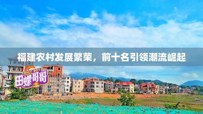 福建農村發展繁榮，前十名引領潮流崛起