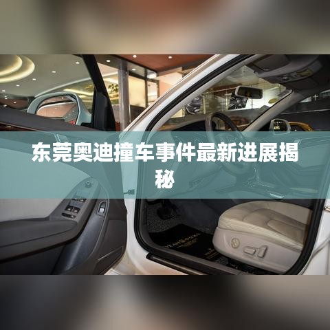 東莞奧迪撞車事件最新進(jìn)展揭秘