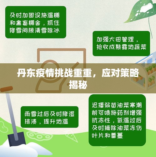 丹東疫情挑戰(zhàn)重重，應(yīng)對(duì)策略揭秘