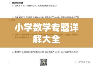 小學(xué)數(shù)學(xué)專題詳解大全