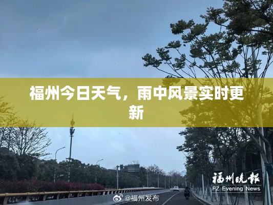 福州今日天氣，雨中風景實時更新