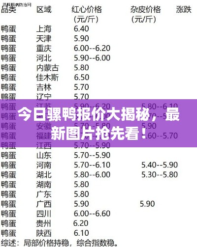 今日騾鴨報價大揭秘，最新圖片搶先看！