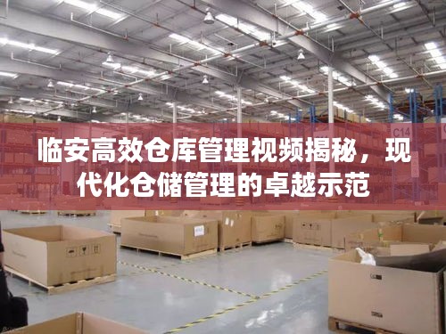 臨安高效倉庫管理視頻揭秘，現代化倉儲管理的卓越示范