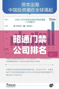 昭通門禁公司排名揭秘，行業(yè)深度分析與趨勢(shì)解讀