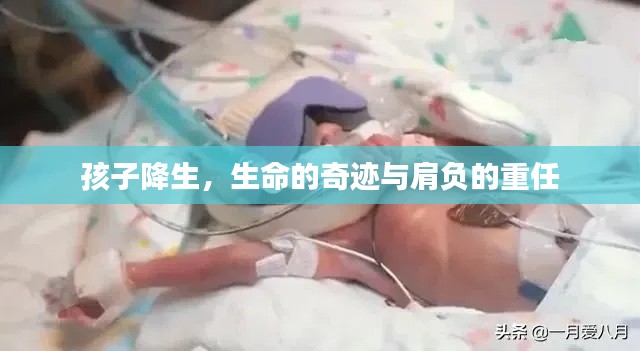 2025年4月 第119頁(yè)