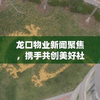 龍口物業(yè)新聞聚焦，攜手共創(chuàng)美好社區(qū)未來