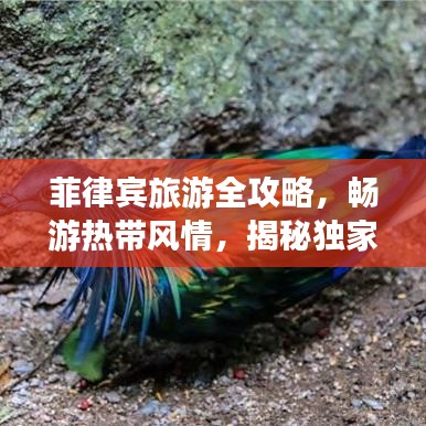 菲律賓旅游全攻略，暢游熱帶風情，揭秘獨家旅行秘籍！