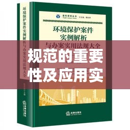 規(guī)范的重要性及應用實例解析
