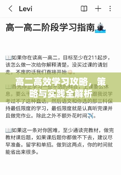 高二高效學習攻略，策略與實踐全解析