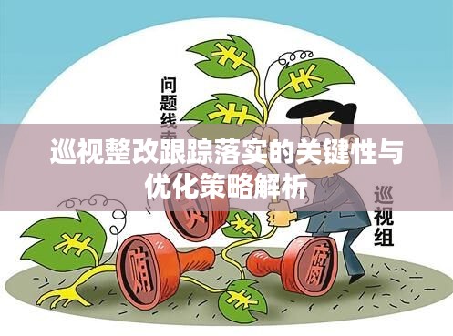 巡視整改跟蹤落實(shí)的關(guān)鍵性與優(yōu)化策略解析