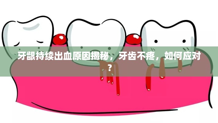 牙齦持續出血原因揭秘，牙齒不疼，如何應對？