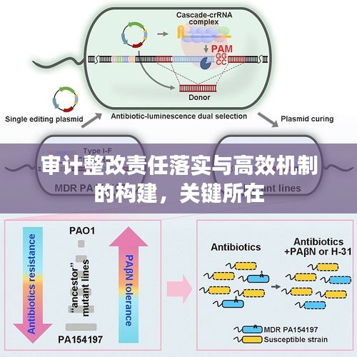 審計整改責任落實與高效機制的構建，關鍵所在