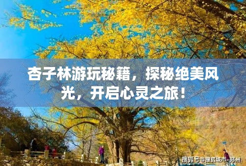 杏子林游玩秘籍，探秘絕美風光，開啟心靈之旅！