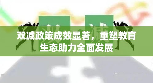 雙減政策成效顯著，重塑教育生態助力全面發展