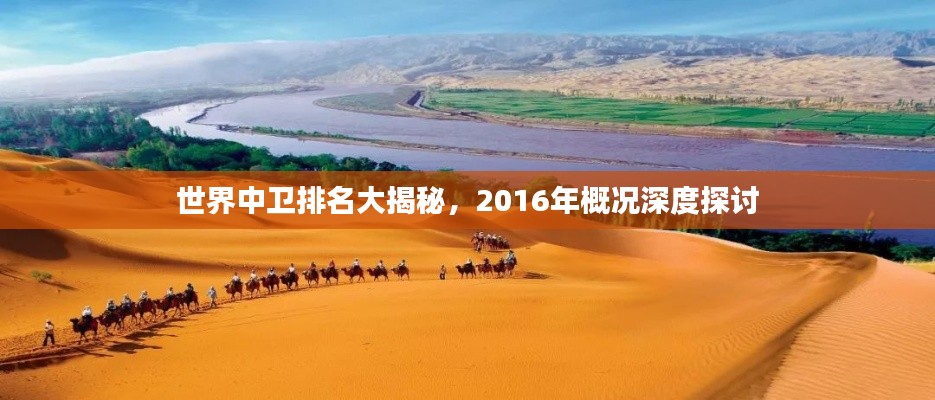 世界中衛(wèi)排名大揭秘，2016年概況深度探討