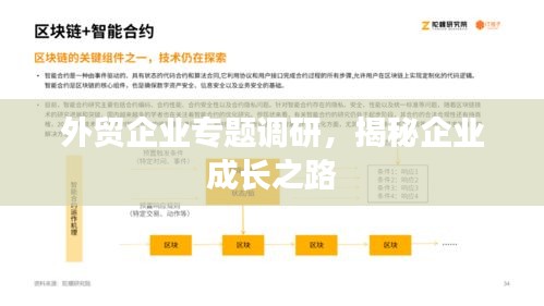 外貿企業專題調研，揭秘企業成長之路