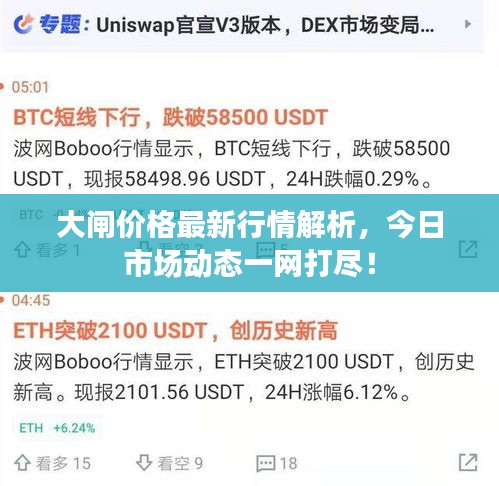 大閘價格最新行情解析，今日市場動態一網打盡！