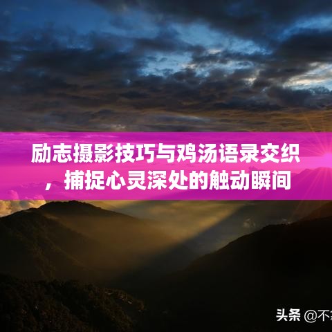2025年4月 第47頁