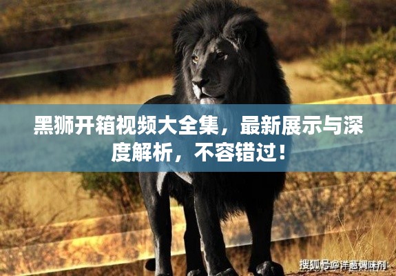 黑獅開箱視頻大全集，最新展示與深度解析，不容錯過！