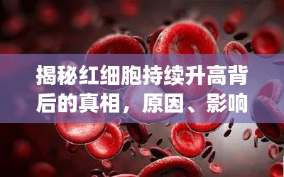 揭秘紅細胞持續升高背后的真相，原因、影響及應對策略