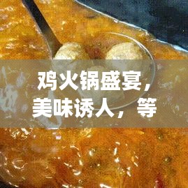 雞火鍋盛宴，美味誘人，等你來嘗！