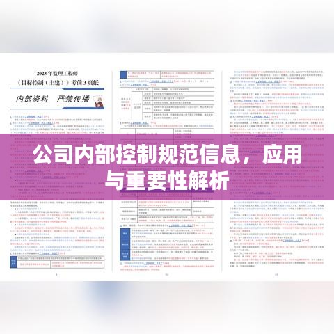 公司內(nèi)部控制規(guī)范信息，應(yīng)用與重要性解析