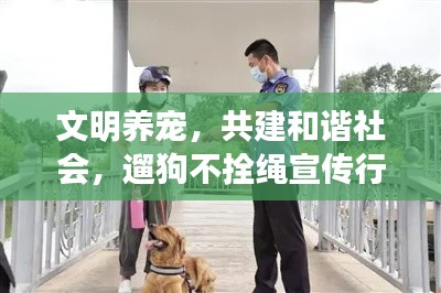文明養寵，共建和諧社會，遛狗不拴繩宣傳行動啟動