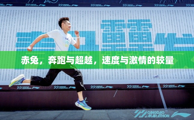 赤兔，奔跑與超越，速度與激情的較量