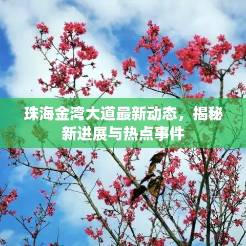 珠海金灣大道最新動態(tài)，揭秘新進展與熱點事件