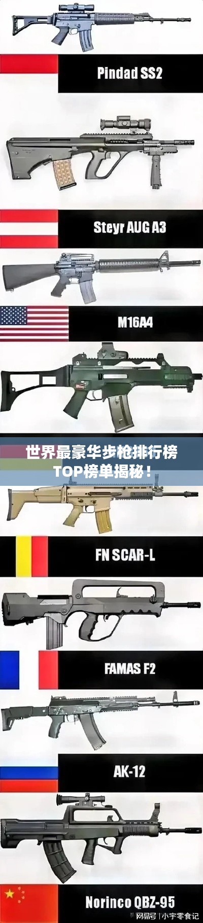 世界最豪華步槍排行榜TOP榜單揭秘！
